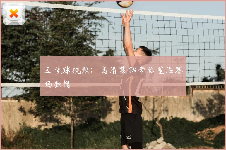 五佳球视频：高清集锦带你重温赛场激情