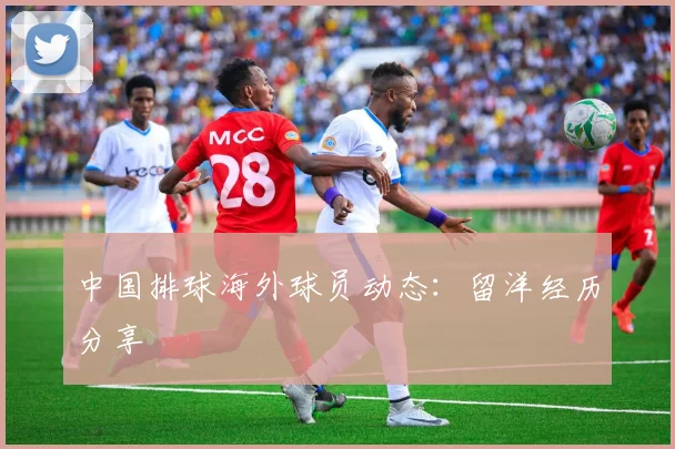 中国排球海外球员动态：留洋经历分享