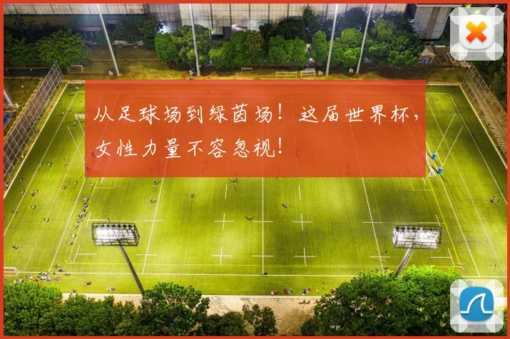 从足球场到绿茵场!这届世界杯,女性力量不容忽视!